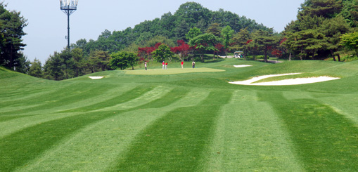 가을 겨울 전경사진 2