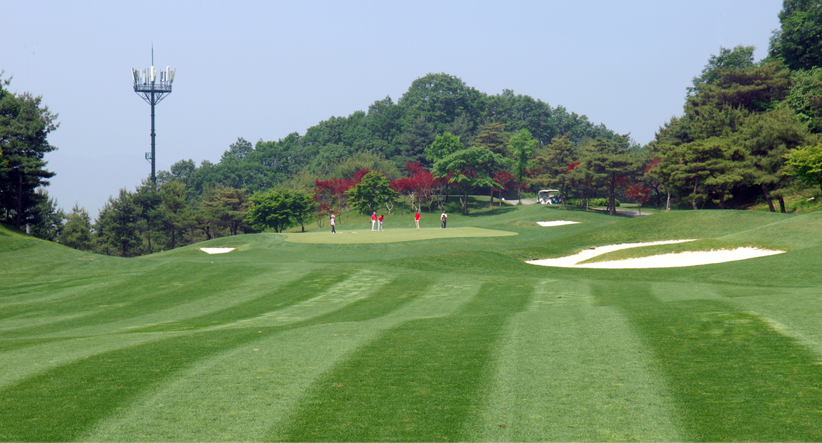 1홀 전경 사진 - 3