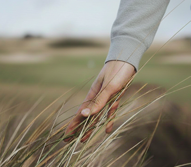 클럽하우스 안내