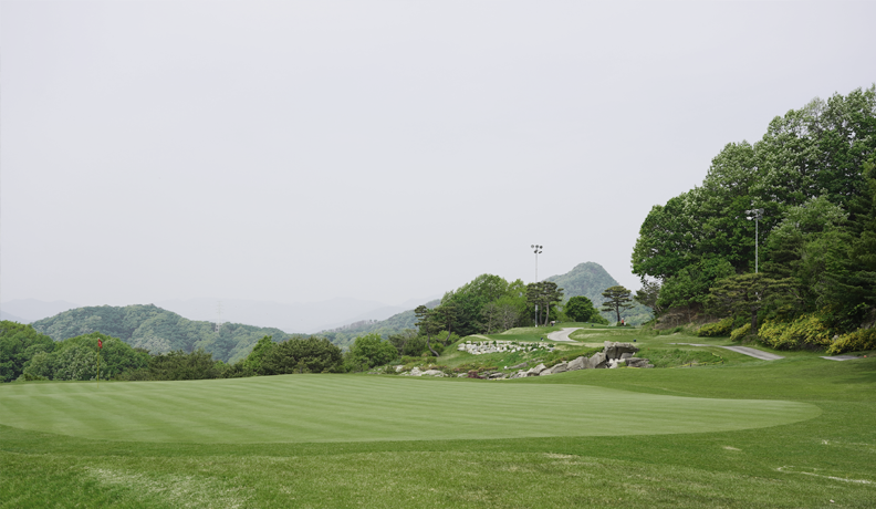 8홀 전경